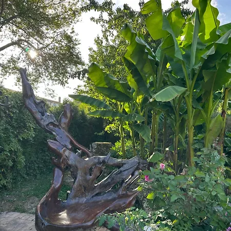 Bed & Breakfast Le Temps D'un Reve *