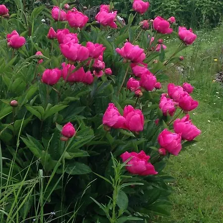 Le Temps D'un Rêve Couette-café Ravenel