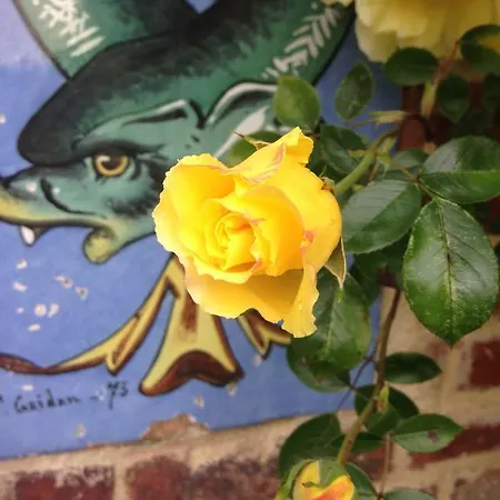 Couette-café Le Temps D'un Rêve *