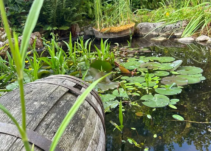Le Temps D'un Reve Ravenel
