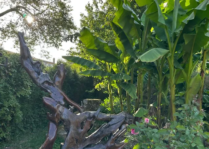 B&B Le Temps D'un Reve *